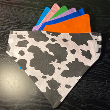 Load image into Gallery viewer, Cow dog bandana
